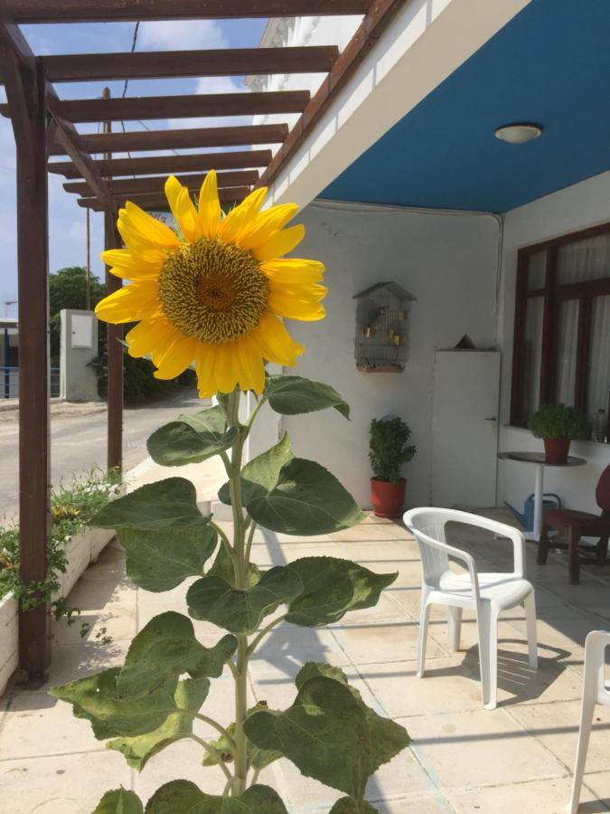Villa Bonatsa Andros Home Батси Экстерьер фото